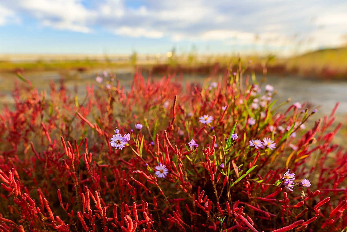 cts_7053_00024__2_.jpg