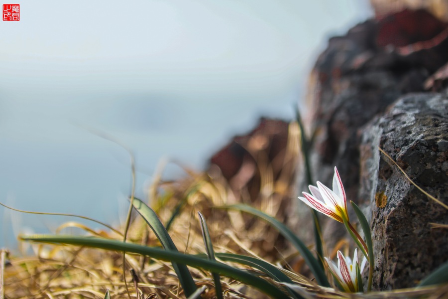 4D1A0551 (1) (1)(1)-1.jpg