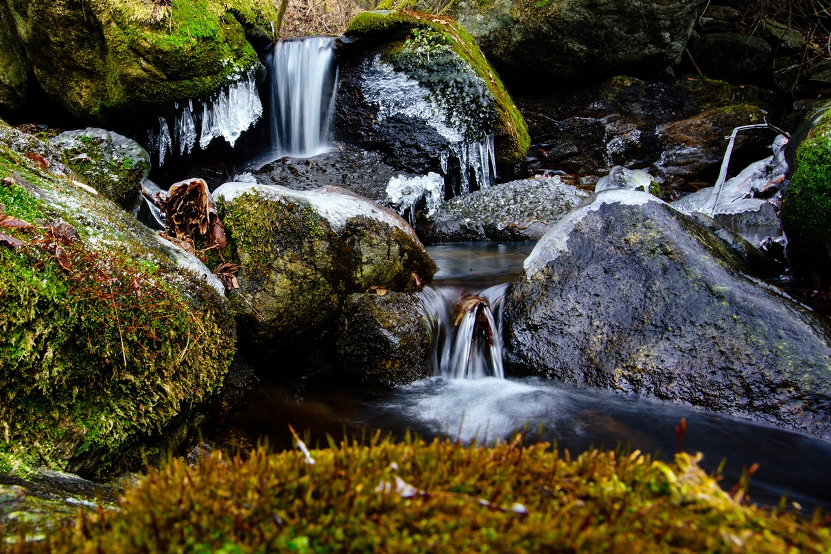 dsc_3651.jpg
