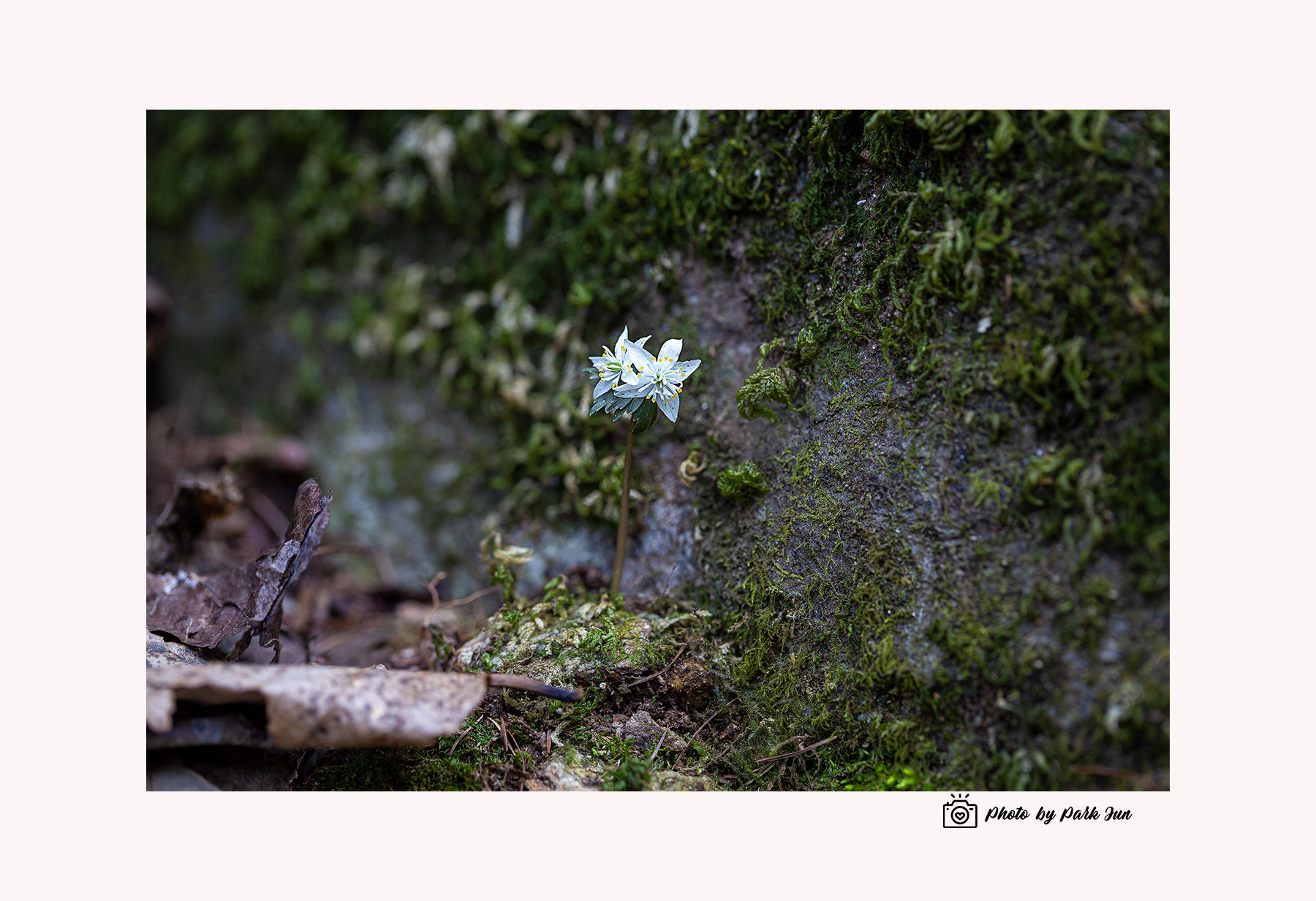 D55A0164-3.jpg