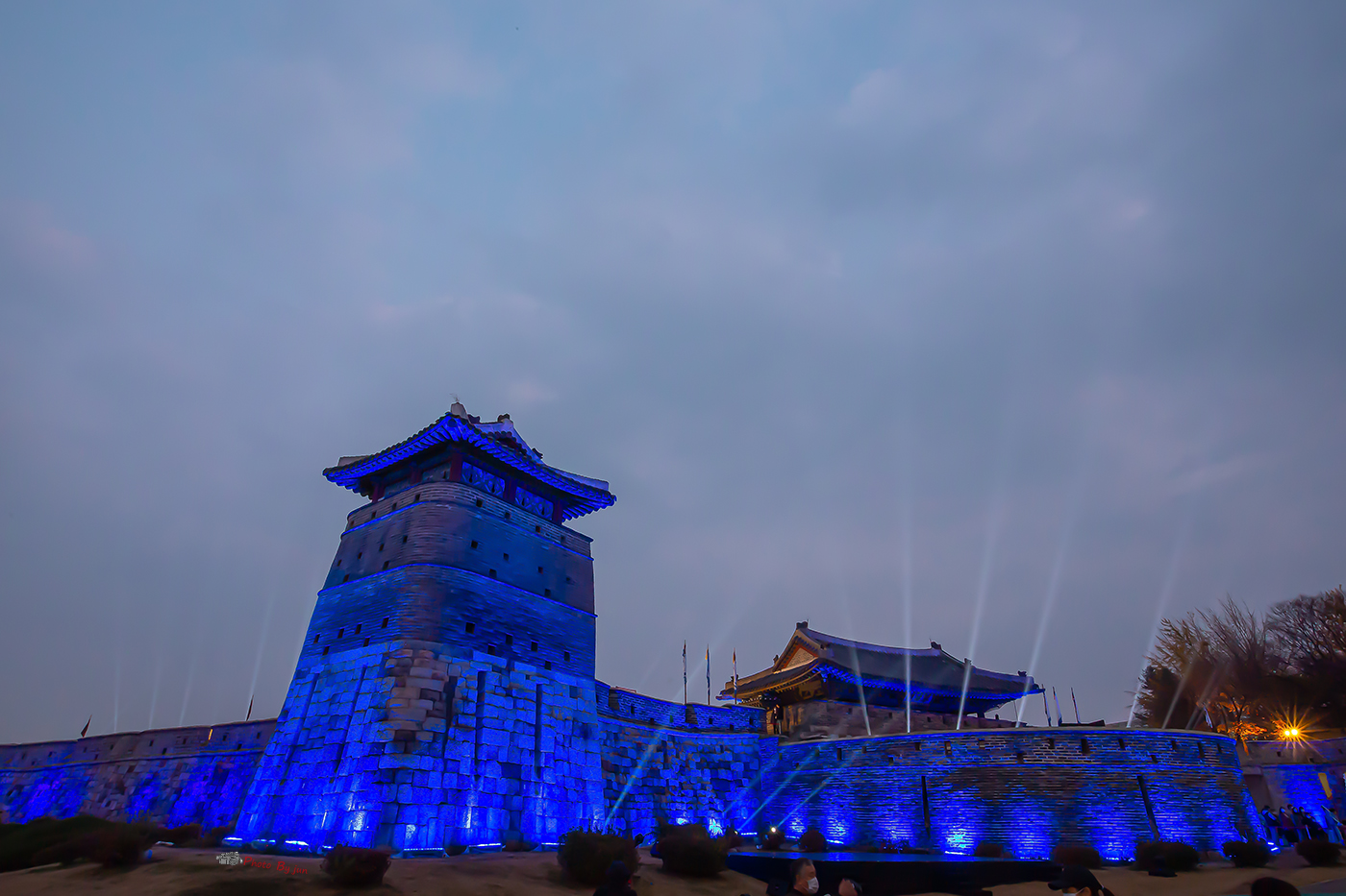 D55A6381-2.jpg
