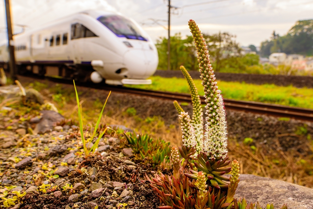 cts_7671-2.jpg