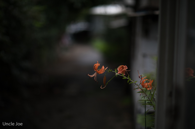 untitled-1784.jpg
