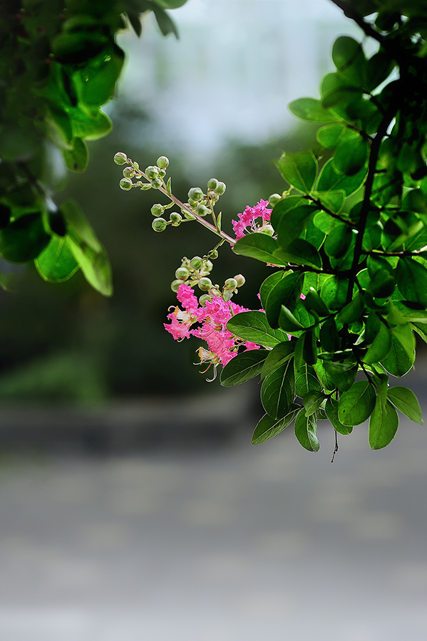 _SMJ6299_00001-2.jpg