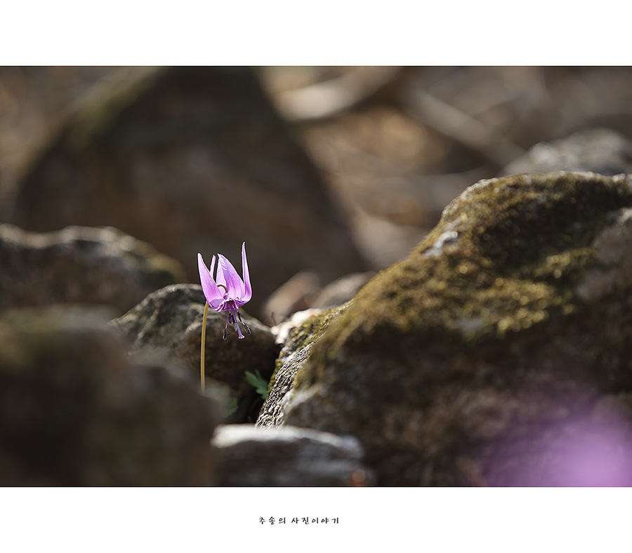 _mg_7263.jpg