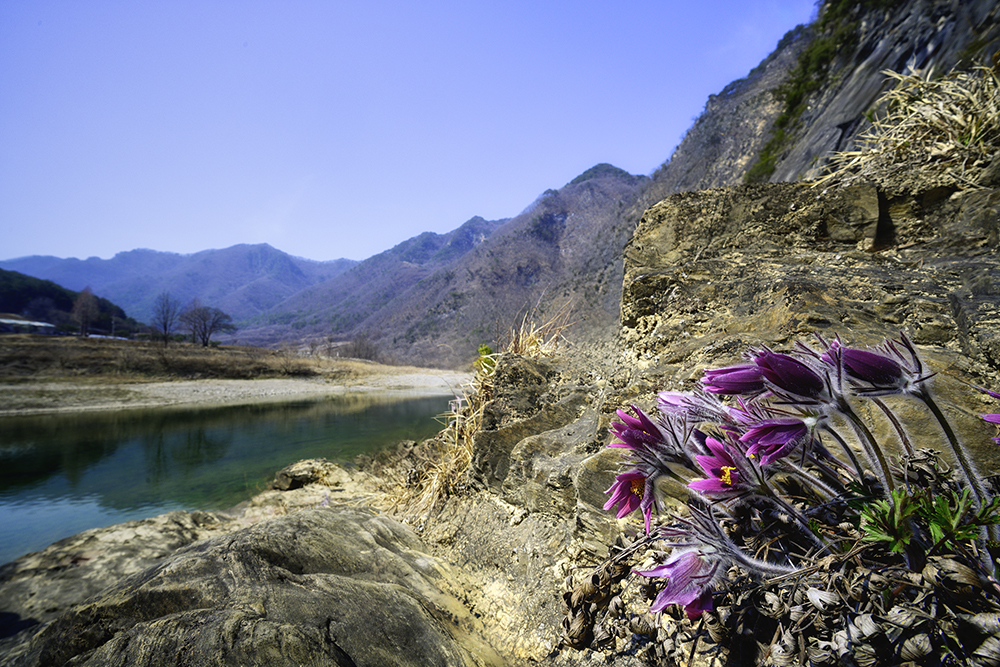 _DSC2163 현상 last (1000).jpg