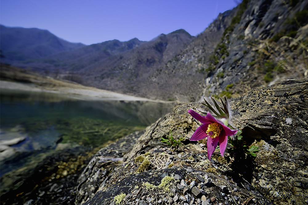 _DSC2177 현상 last (1000).jpg