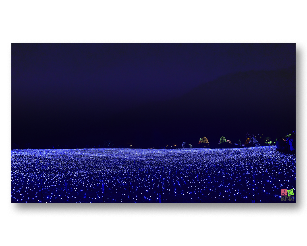 dsc_0533__2_r.jpg