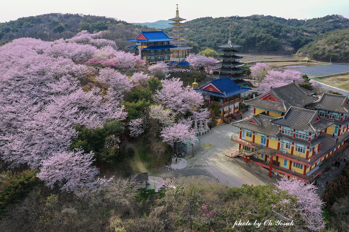 DJI_0732-1 복사 3사본.jpg