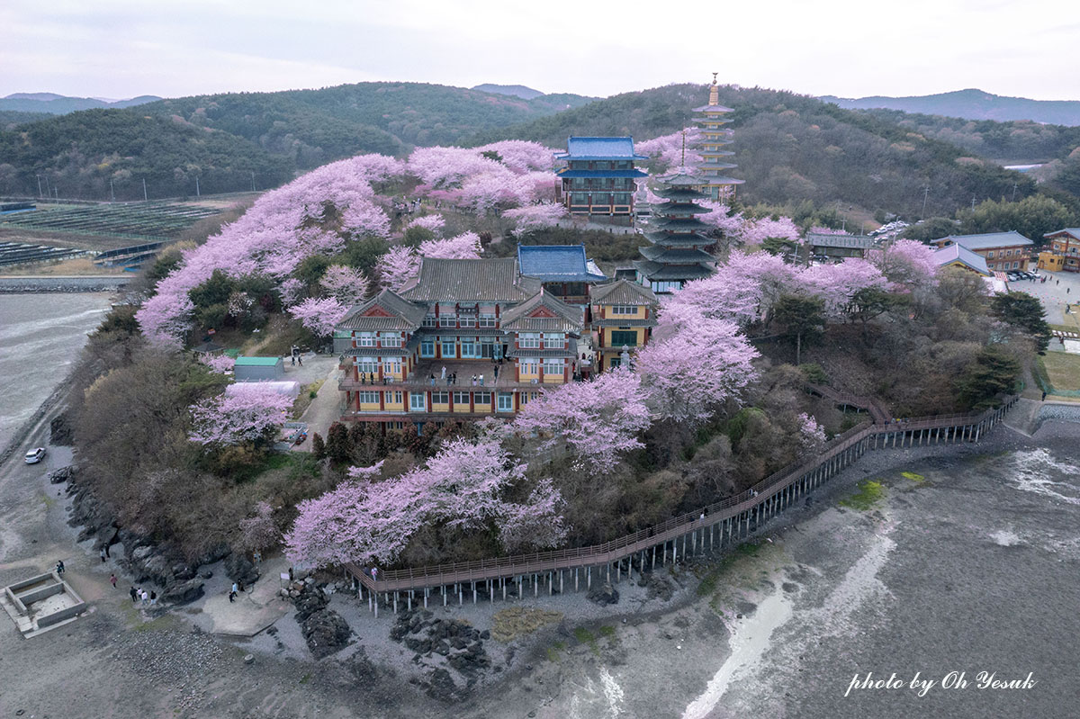 DJI_0657 -1사본 복사3 사본.jpg