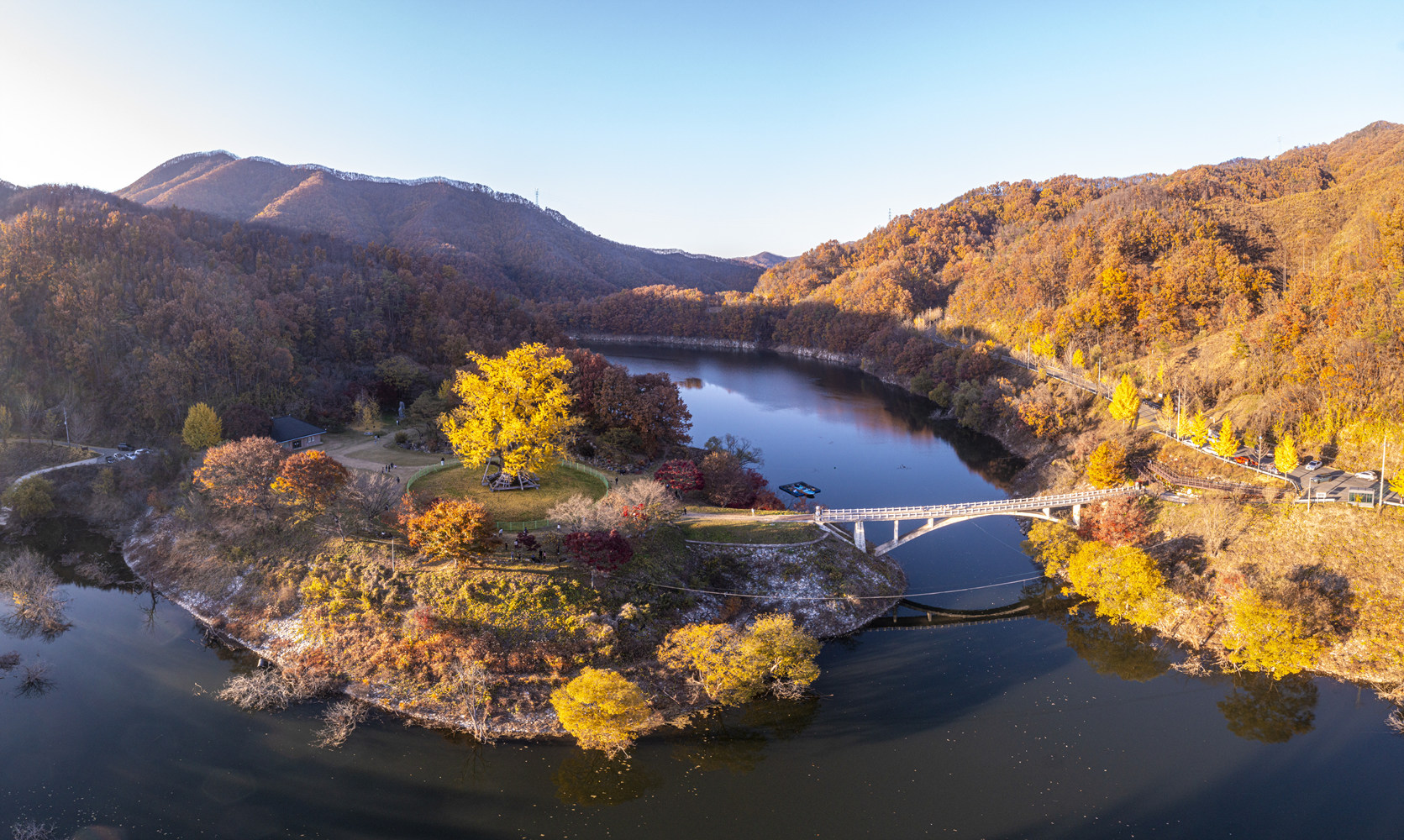 용계리은행나무 02.jpg