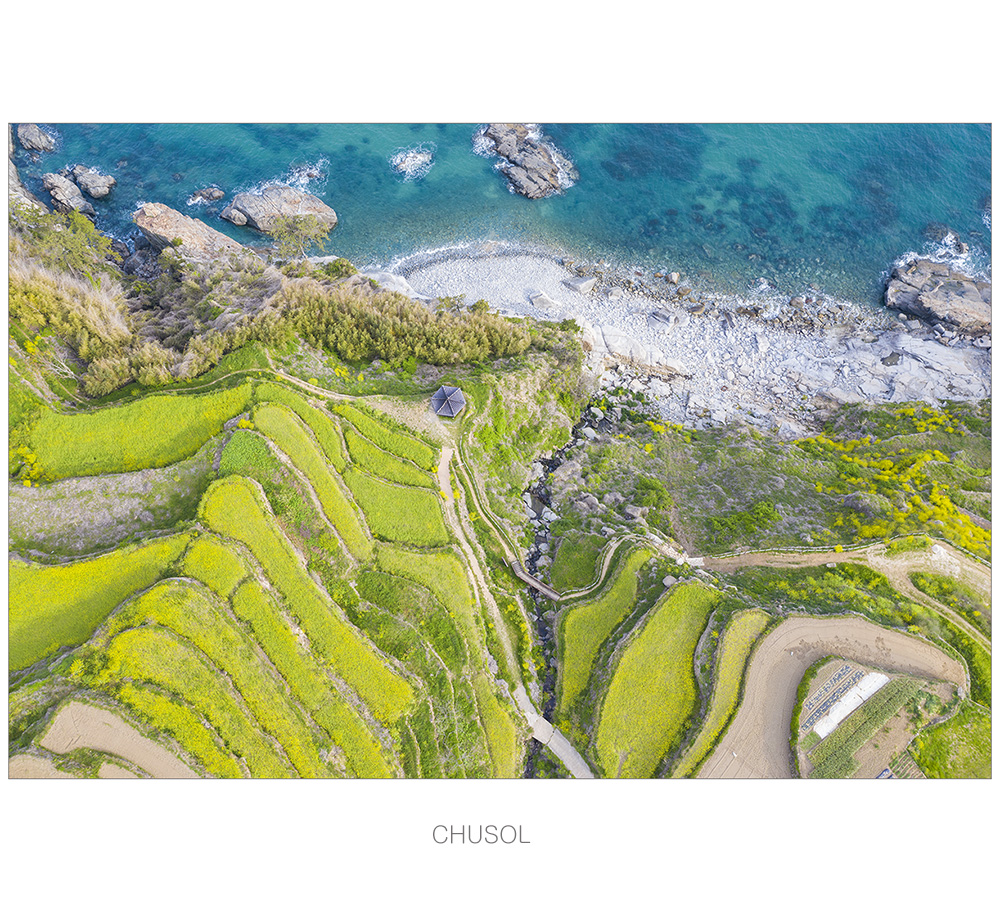 DJI_0500.jpg