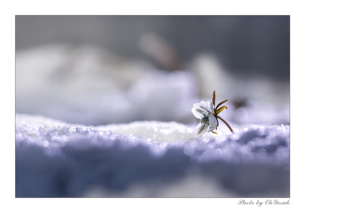 BL1A4729-2 복사 사본.jpg