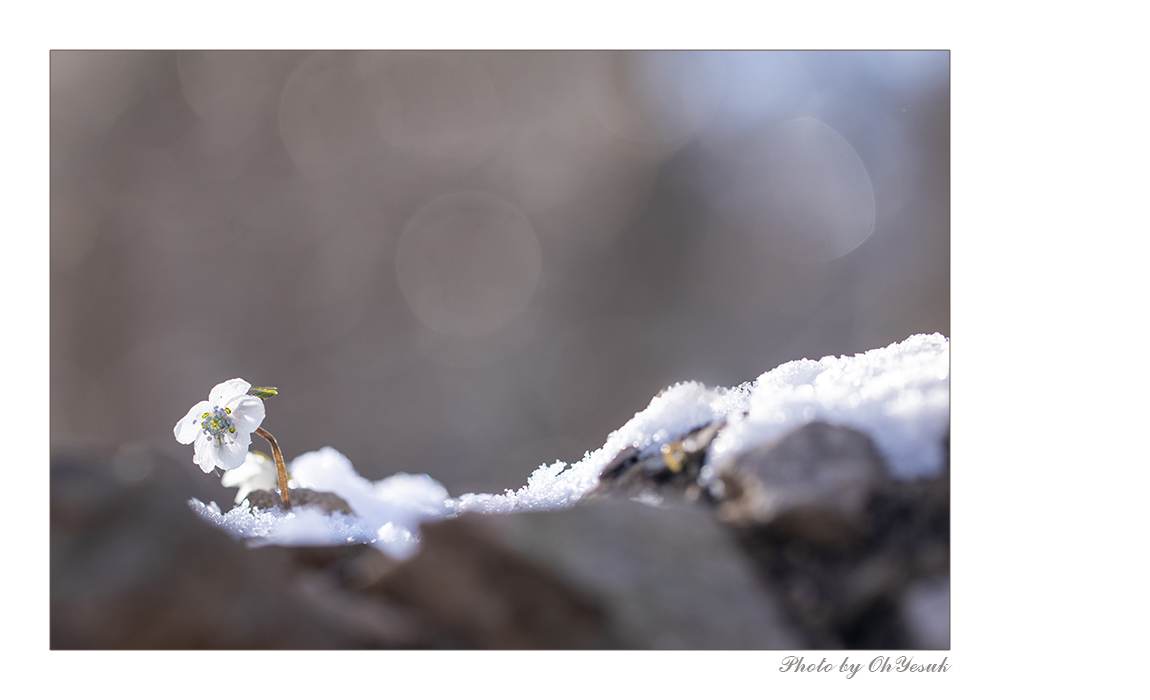 BL1A4748-3 복사 사본.jpg