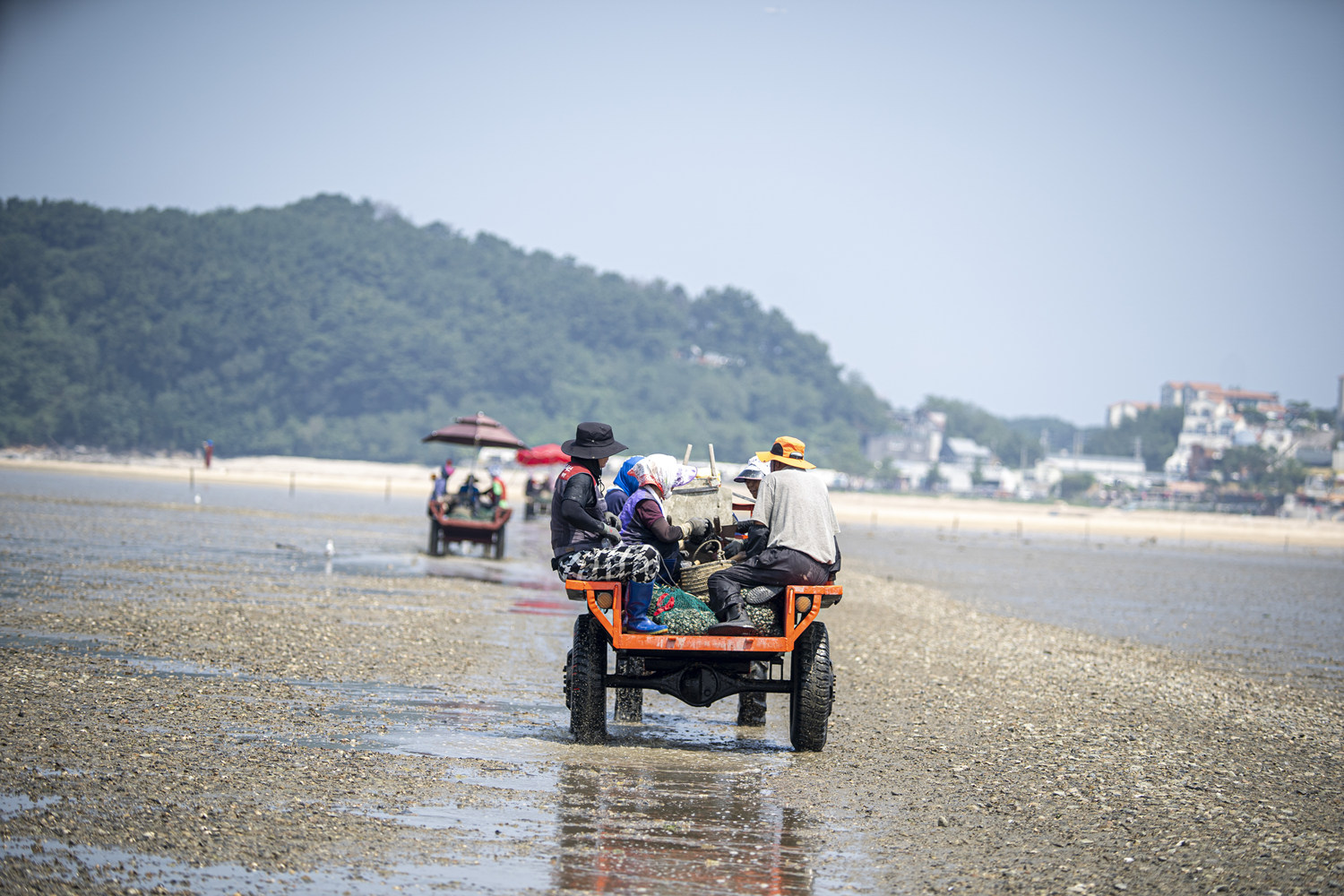 바지락 작업 11.jpg
