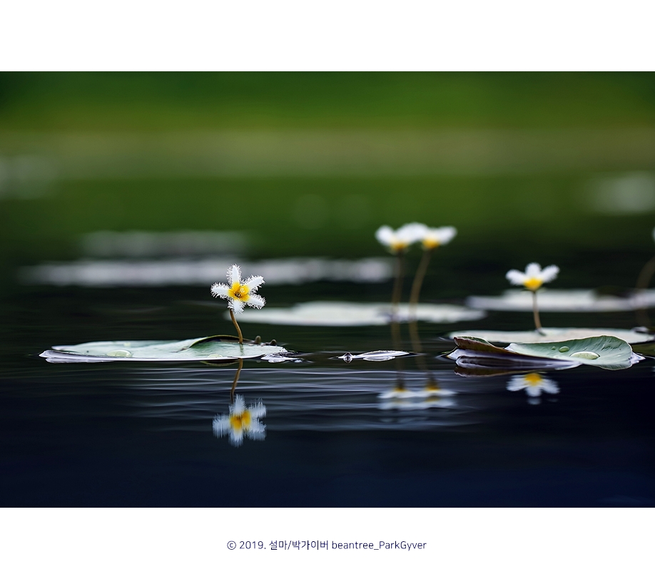 beantree_20190811_4917(2)(fj).jpg