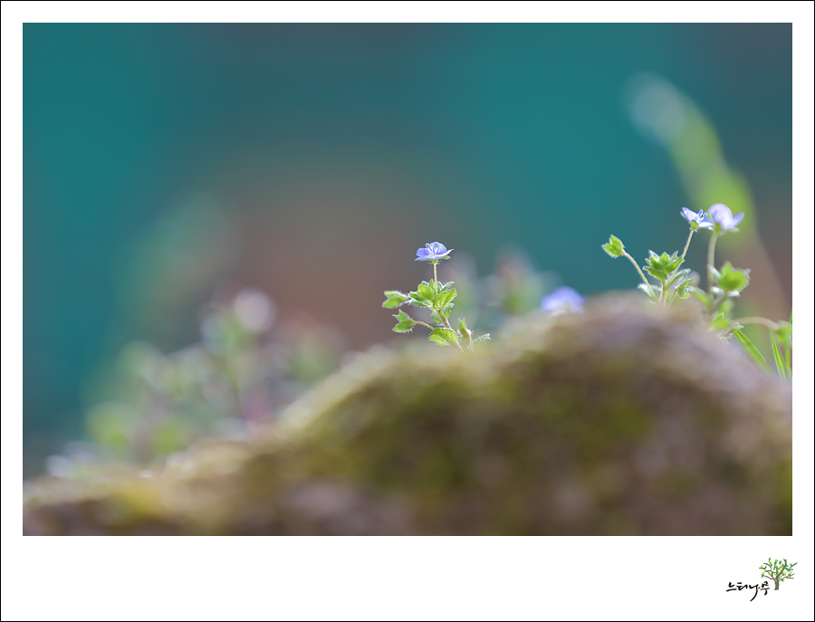 1D5A7158.jpg