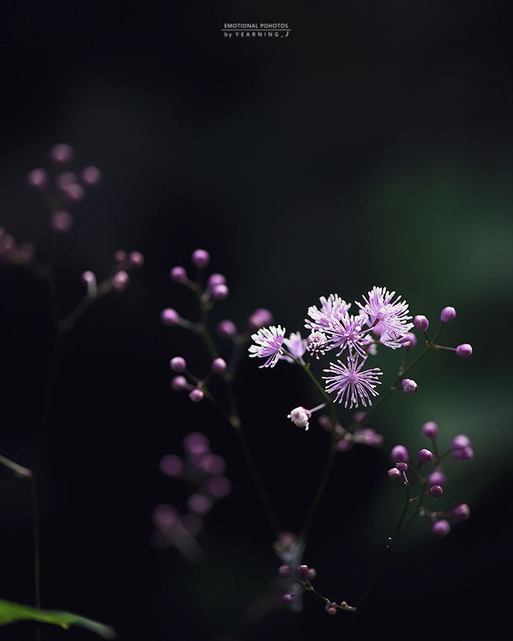 24K_1548-1-1feel.jpg
