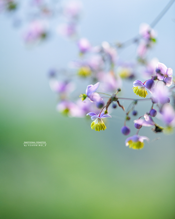 24K_0906-1feel.jpg