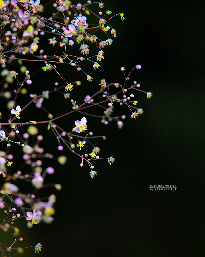 24K_0973-1feel.jpg