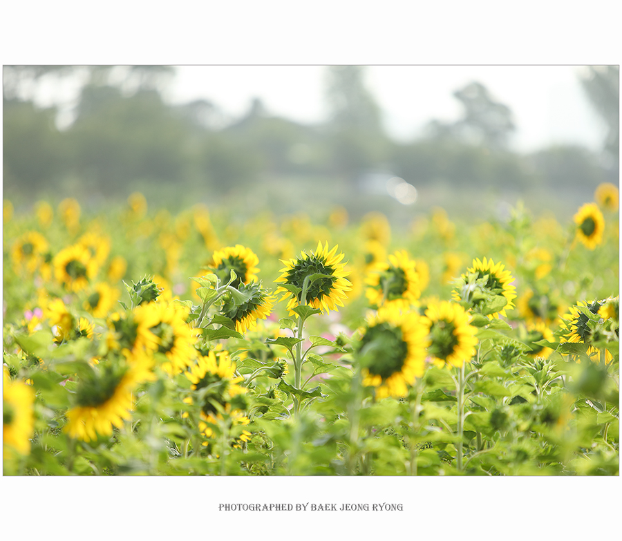 7d3a0947.jpg
