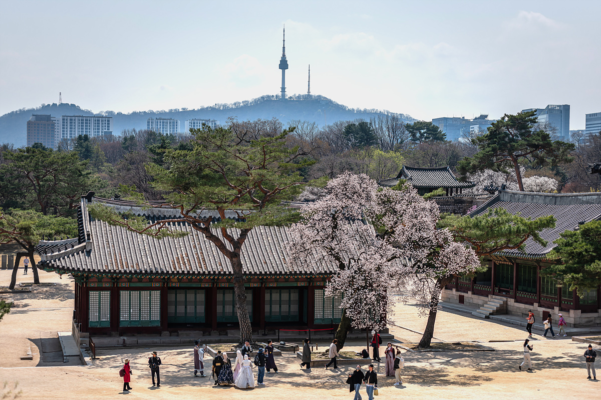 JYH_9609.jpg