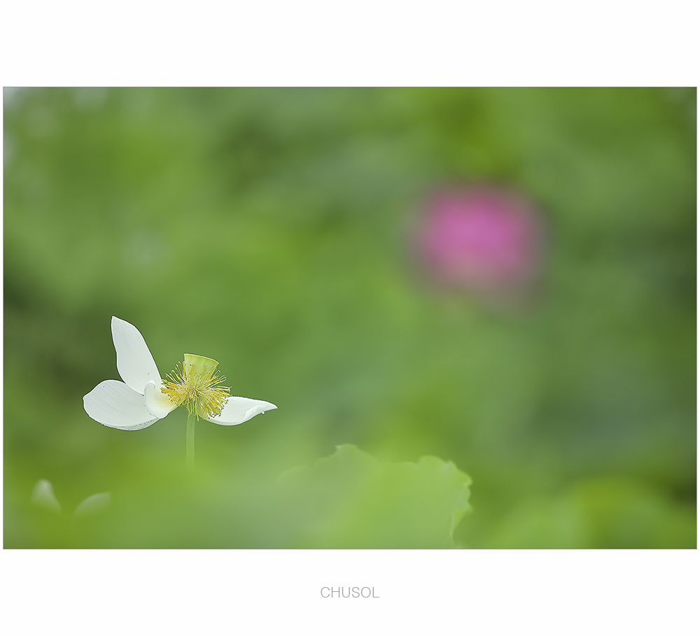_D3A8638.jpg