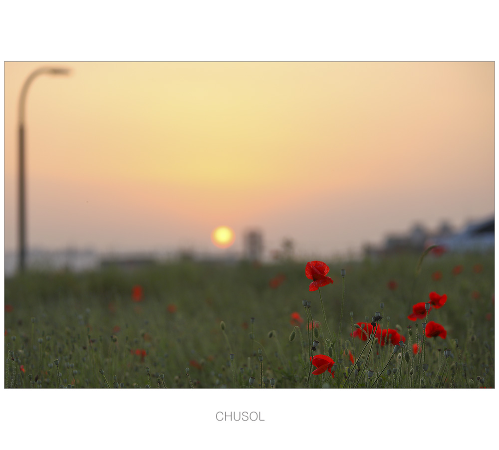 7D3A0693.jpg