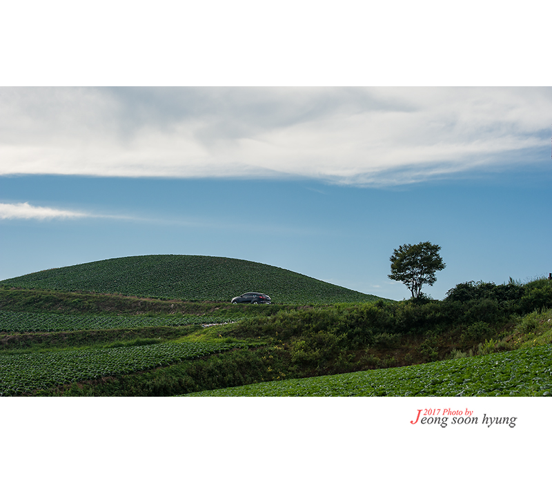 dsc_5716r.jpg