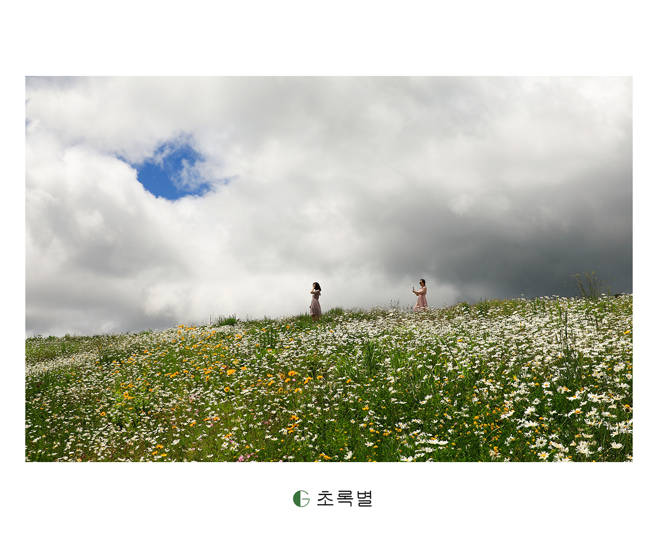 _03A5654 복사 2333.jpg