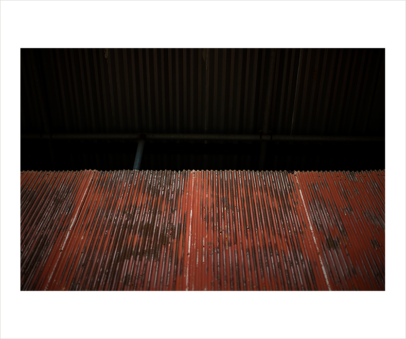 ab9p7714-3.jpg