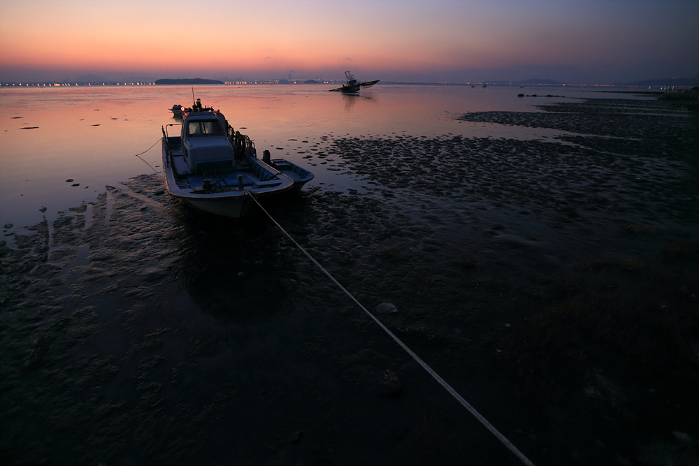 dpp_10008.jpg