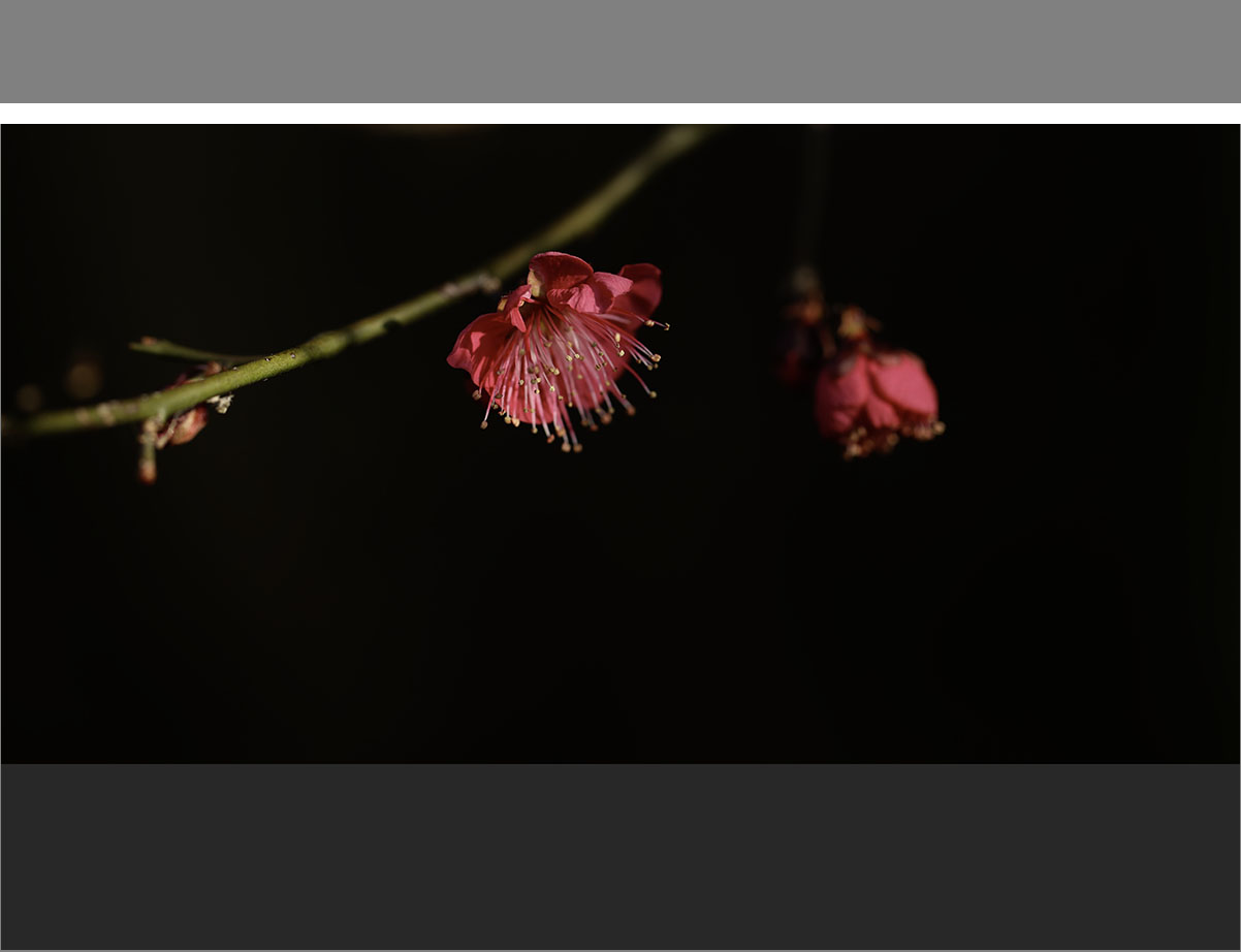 071A8534 복사-5.jpg