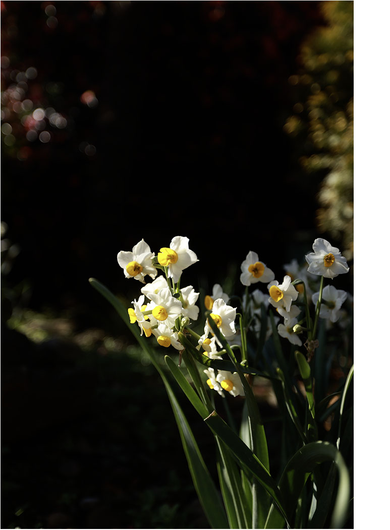 071A6947-1 복사.jpg