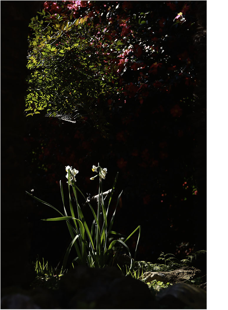 071A6943-1 복사.jpg