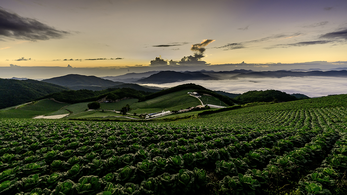 _DSC2595-HDR 현상 1200.jpg