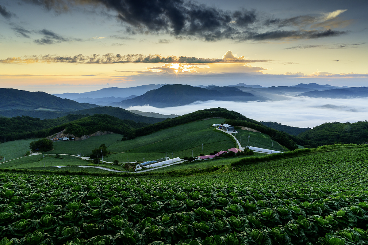 _DSC3596-HDR 현상 last 1200.jpg