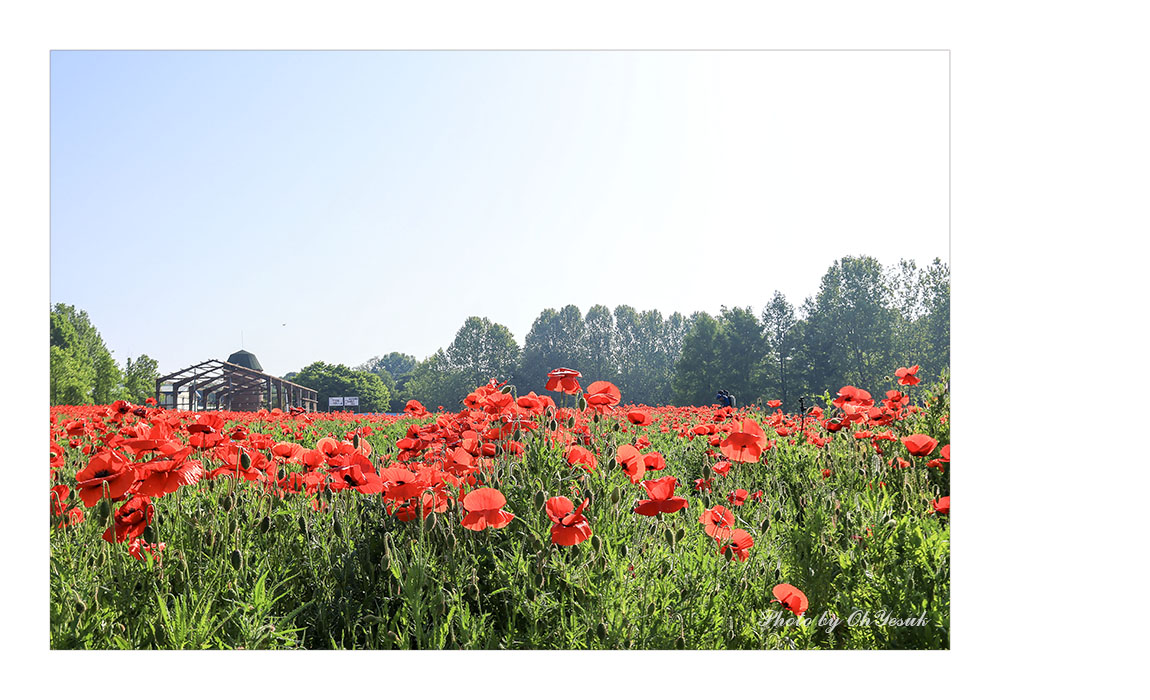 060A0129-0518 복사 사본.jpg
