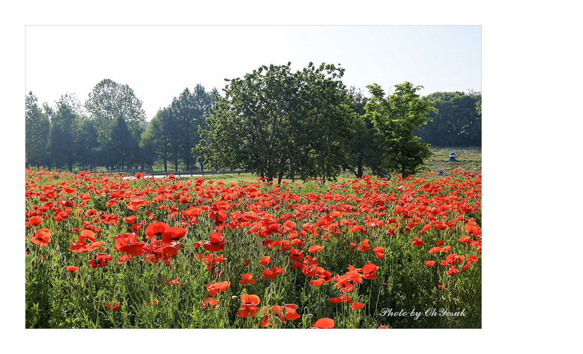 060A0125-0518 복사 사본.jpg