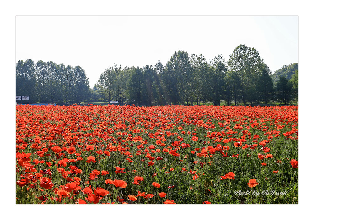060A0123-0518 복사 사본.jpg