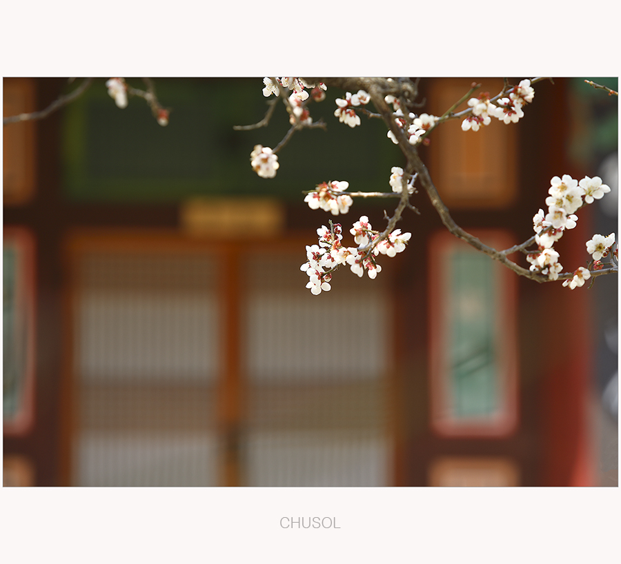 _D3A8173.jpg