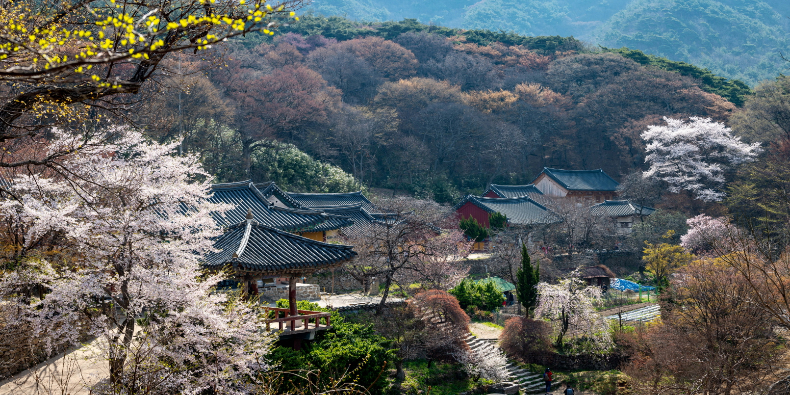 DSC_2190-Pano.jpg