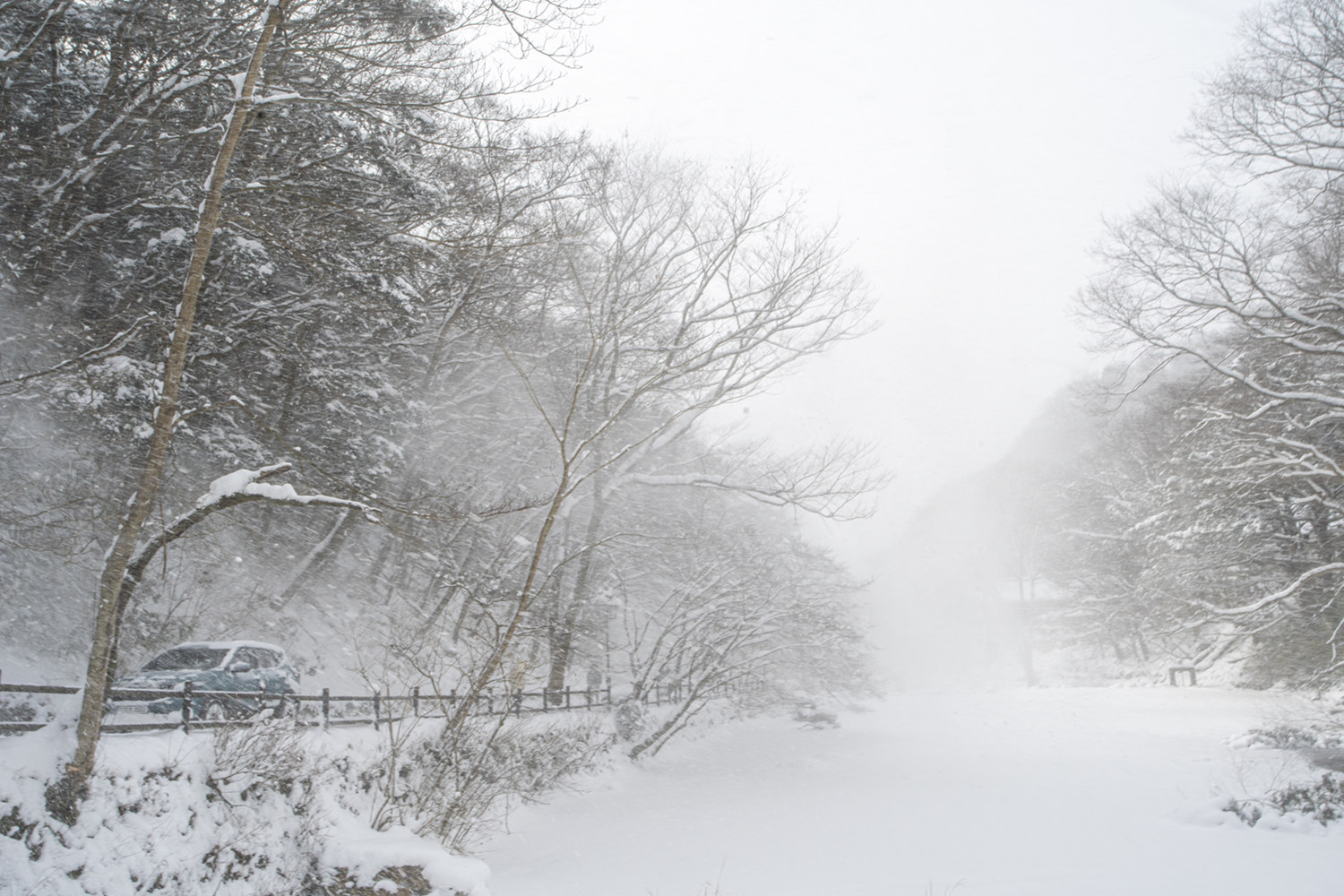 폭설 1.jpg