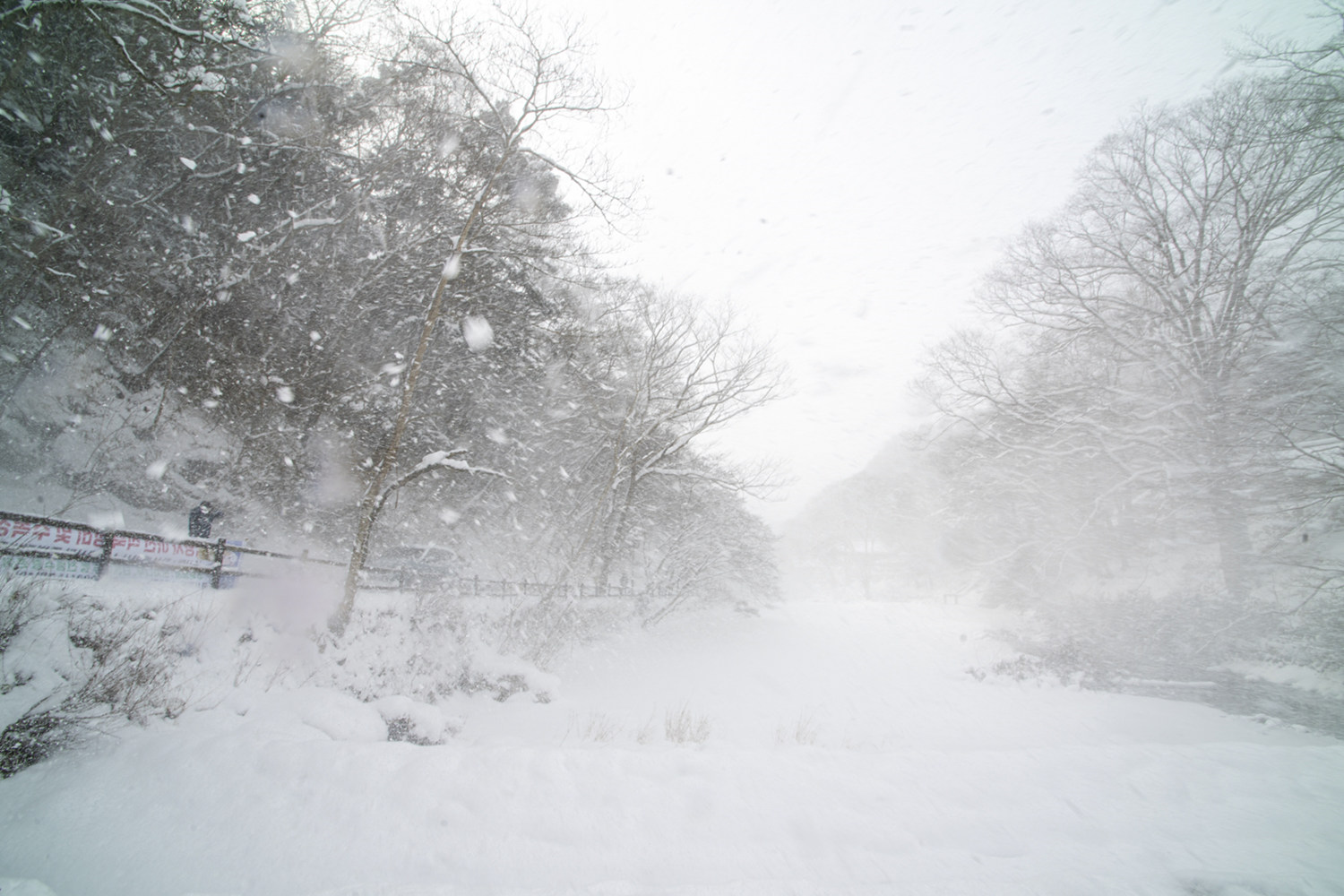 폭설 5.jpg