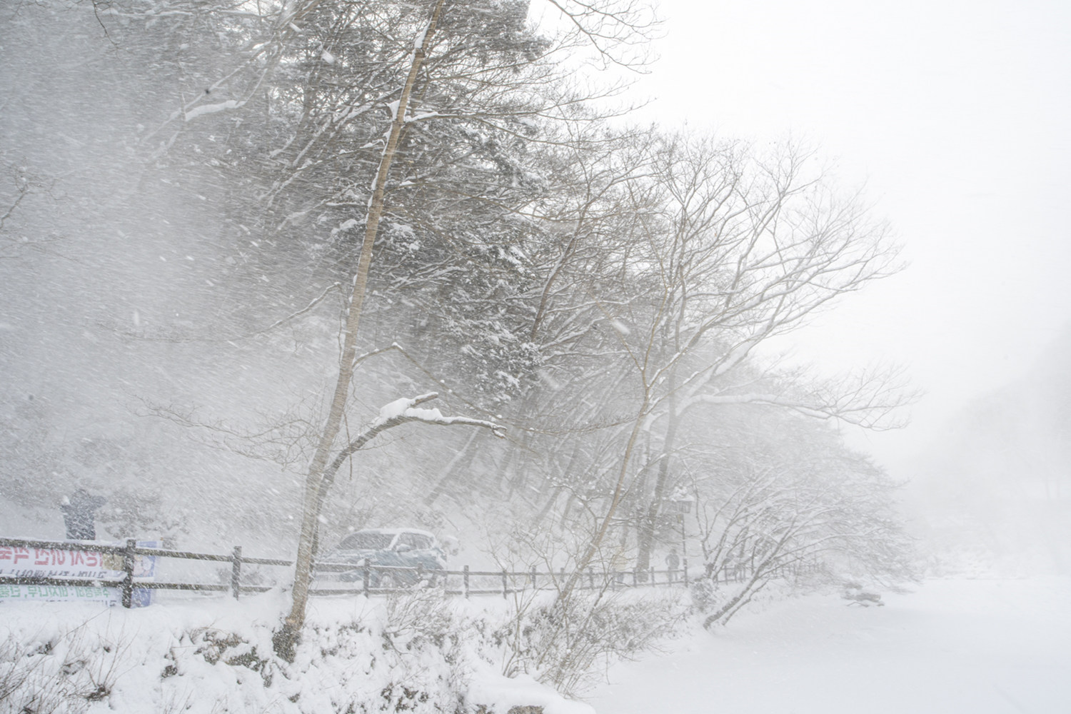 폭설 3.jpg