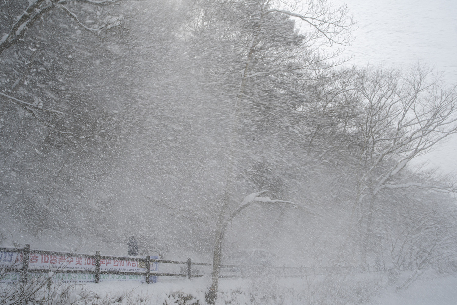 폭설 4.jpg