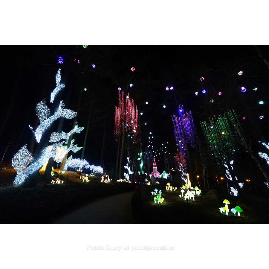 DSC07721-2.jpg
