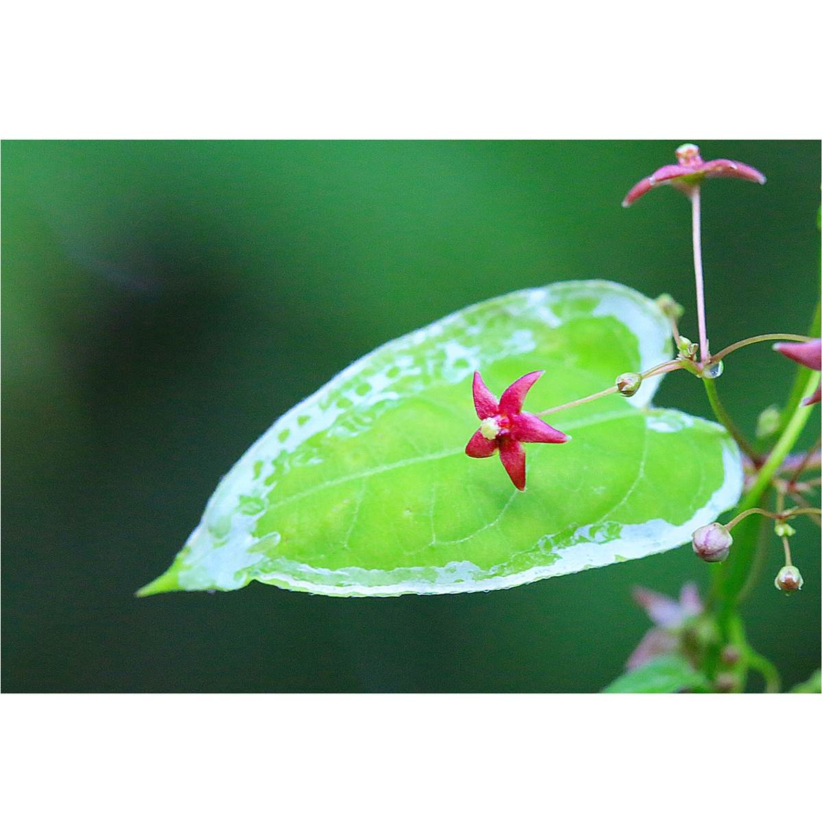 3o0a6338_복사.jpg
