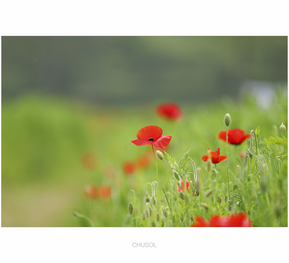 _D3A7497.jpg
