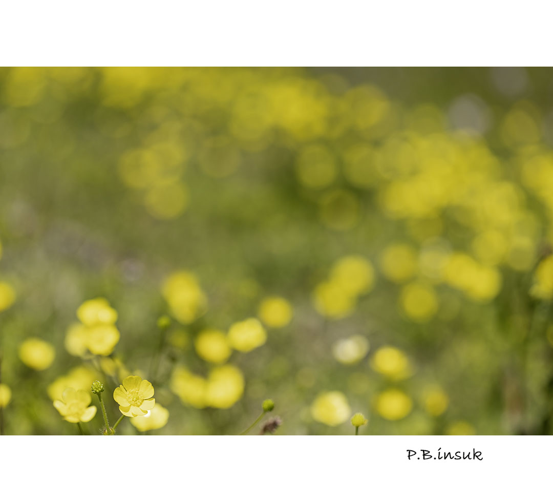 071A8484-1.jpg
